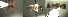  ( - 17S618)  @11 [ ] CreativeCommons  Attribution Non-Commercial Share-Alike (2020) S. Schär; M. Menchetti; E. Schifani Institut de Biologia Evolutiva (CSIC-UPF), Butterfly Diversity and Evolution Lab