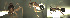  ( - 17S619)  @11 [ ] CreativeCommons  Attribution Non-Commercial Share-Alike (2020) S. Schär; M. Menchetti; E. Schifani Institut de Biologia Evolutiva (CSIC-UPF), Butterfly Diversity and Evolution Lab