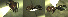 ( - 17S622)  @11 [ ] CreativeCommons  Attribution Non-Commercial Share-Alike (2020) S. Schär; M. Menchetti; E. Schifani Institut de Biologia Evolutiva (CSIC-UPF), Butterfly Diversity and Evolution Lab