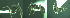  ( - 17S644)  @11 [ ] CreativeCommons  Attribution Non-Commercial Share-Alike (2020) S. Schär; M. Menchetti; E. Schifani Institut de Biologia Evolutiva (CSIC-UPF), Butterfly Diversity and Evolution Lab