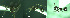  ( - 17S652)  @11 [ ] CreativeCommons  Attribution Non-Commercial Share-Alike (2020) S. Schär; M. Menchetti; E. Schifani Institut de Biologia Evolutiva (CSIC-UPF), Butterfly Diversity and Evolution Lab