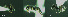  (Plagiolepis taurica - 17S672)  @11 [ ] CreativeCommons  Attribution Non-Commercial Share-Alike (2020) S. Schär; M. Menchetti; E. Schifani Institut de Biologia Evolutiva (CSIC-UPF), Butterfly Diversity and Evolution Lab