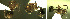  ( - 17S606)  @11 [ ] CreativeCommons  Attribution Non-Commercial Share-Alike (2020) S. Schär; M. Menchetti; E. Schifani Institut de Biologia Evolutiva (CSIC-UPF), Butterfly Diversity and Evolution Lab