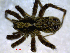  ( - CCDB-08105-A04)  @12 [ ] CreativeCommons - Attribution (2012) Arctic Ecology Course, University of Guelph Centre for Biodiversity Genomics