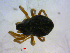  ( - CCDB-08105-A05)  @12 [ ] CreativeCommons - Attribution (2012) Arctic Ecology Course, University of Guelph Centre for Biodiversity Genomics