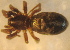  ( - CCDB-08105-B03)  @12 [ ] CreativeCommons - Attribution (2012) Arctic Ecology Course, University of Guelph Centre for Biodiversity Genomics