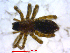  ( - CCDB-08105-C11)  @12 [ ] CreativeCommons - Attribution (2012) Arctic Ecology Course, University of Guelph Centre for Biodiversity Genomics