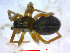  ( - CCDB-08105-E06)  @13 [ ] CreativeCommons - Attribution (2012) Arctic Ecology Course, University of Guelph Centre for Biodiversity Genomics