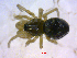  ( - CCDB-08105-E08)  @12 [ ] CreativeCommons - Attribution (2012) Arctic Ecology Course, University of Guelph Centre for Biodiversity Genomics