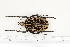  ( - BC-TB7144)  @13 [ ] Copyright (2010) Thierry Bouyer Research Collection of Philippe Leonard