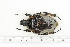  ( - BC-TB7150)  @11 [ ] Copyright (2010) Thierry Bouyer Research Collection of Philippe Leonard