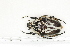  ( - BC-TB7155)  @11 [ ] Copyright (2010) Thierry Bouyer Research Collection of Philippe Leonard