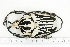  ( - BC-TB7163)  @13 [ ] Copyright (2010) Thierry Bouyer Research Collection of Philippe Leonard