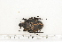  ( - BC-TB7166)  @13 [ ] Copyright (2010) Thierry Bouyer Research Collection of Philippe Leonard