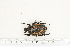  ( - BC-TB7167)  @13 [ ] Copyright (2010) Thierry Bouyer Research Collection of Philippe Leonard