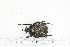  ( - BC-TB7168)  @11 [ ] Copyright (2010) Thierry Bouyer Research Collection of Philippe Leonard