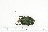  ( - BC-TB7184)  @11 [ ] Copyright (2010) Thierry Bouyer Research Collection of Philippe Leonard