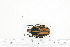  ( - BC-TB7189)  @11 [ ] Copyright (2010) Thierry Bouyer Research Collection of Philippe Leonard