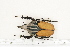  ( - BC-TB7190)  @11 [ ] Copyright (2010) Thierry Bouyer Research Collection of Philippe Leonard