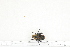  ( - BC-TB7206)  @11 [ ] Copyright (2010) Thierry Bouyer Research Collection of Philippe Leonard