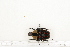  ( - BC-TB7208)  @11 [ ] Copyright (2010) Thierry Bouyer Research Collection of Philippe Leonard
