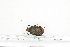  ( - BC-TB7222)  @11 [ ] Copyright (2010) Thierry Bouyer Research Collection of Philippe Leonard