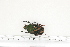  ( - BC-TB7232)  @12 [ ] Copyright (2010) Thierry Bouyer Research Collection of Philippe Leonard