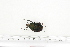  ( - BC-TB7234)  @13 [ ] Copyright (2010) Thierry Bouyer Research Collection of Philippe Leonard