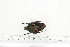  ( - BC-TB7235)  @13 [ ] Copyright (2010) Thierry Bouyer Research Collection of Philippe Leonard