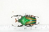  ( - BC-TB7247)  @11 [ ] Copyright (2010) Thierry Bouyer Research Collection of Philippe Leonard