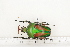  ( - BC-TB7249)  @11 [ ] Copyright (2010) Thierry Bouyer Research Collection of Philippe Leonard