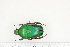 ( - BC-TB7275)  @11 [ ] Copyright (2010) Thierry Bouyer Research Collection of Philippe Leonard