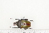  ( - BC-TB7277)  @13 [ ] Copyright (2010) Thierry Bouyer Research Collection of Philippe Leonard