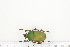  ( - BC-TB7301)  @11 [ ] Copyright (2010) Thierry Bouyer Research Collection of Philippe Leonard