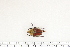  ( - BC-TB7308)  @11 [ ] Copyright (2010) Thierry Bouyer Research Collection of Philippe Leonard