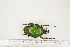  ( - BC-TB7338)  @11 [ ] Copyright (2010) Thierry Bouyer Research Collection of Philippe Leonard