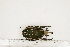  ( - BC-TB7342)  @13 [ ] Copyright (2010) Thierry Bouyer Research Collection of Philippe Leonard