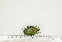  ( - BC-TB7344)  @11 [ ] Copyright (2010) Thierry Bouyer Research Collection of Philippe Leonard