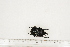  ( - BC-TB7345)  @11 [ ] Copyright (2010) Thierry Bouyer Research Collection of Philippe Leonard