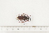  ( - BC-TB7480)  @12 [ ] Copyright (2010) Thierry Bouyer Research Collection of Alain Drumont