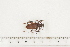  ( - BC-TB7481)  @12 [ ] Copyright (2010) Thierry Bouyer Research Collection of Alain Drumont