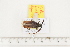 ( - BC-TB7482)  @12 [ ] Copyright (2010) Thierry Bouyer Research Collection of Alain Drumont