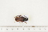  ( - BC-TB7510)  @12 [ ] Copyright (2010) Thierry Bouyer Research Collection of Alain Drumont