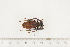  ( - BC-TB7519)  @12 [ ] Copyright (2010) Thierry Bouyer Research Collection of Alain Drumont
