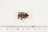  ( - BC-TB7522)  @12 [ ] Copyright (2010) Thierry Bouyer Research Collection of Alain Drumont
