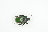 ( - BC-TB9048)  @13 [ ] Copyright (2012) Thierry Bouyer Research Collection of Thierry Bouyer