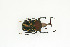  ( - BC-TB9058)  @14 [ ] Copyright (2012) Thierry Bouyer Research Collection of Thierry Bouyer