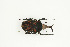  ( - BC-TB9060)  @11 [ ] Copyright (2012) Thierry Bouyer Research Collection of Thierry Bouyer
