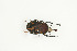  ( - BC-TB9065)  @11 [ ] Copyright (2012) Thierry Bouyer Research Collection of Thierry Bouyer