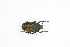  ( - BC-TB9066)  @12 [ ] Copyright (2012) Thierry Bouyer Research Collection of Thierry Bouyer